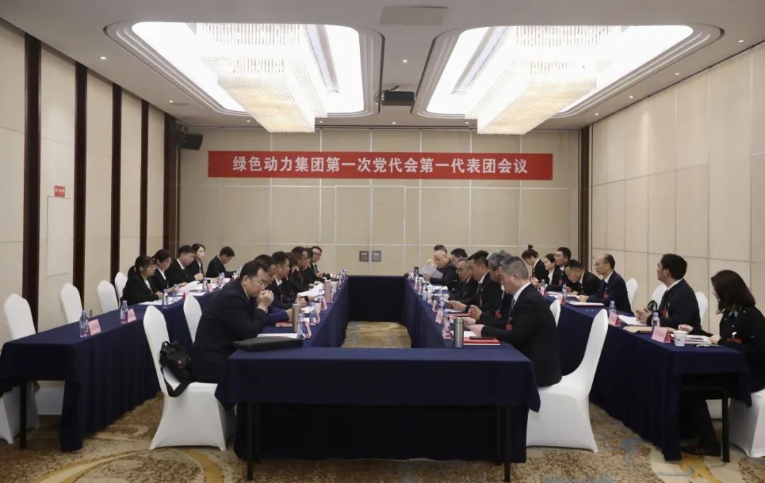 铭刻使命再出发，，，，，代表热议“两委”报告